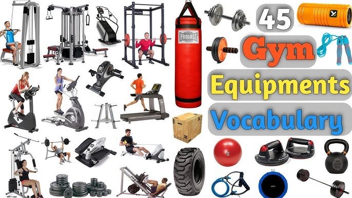 Gym Equipment Names: A Complete Guide to the Essential Tools for Your Workout